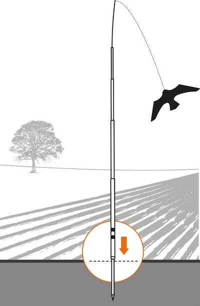 cometa scarybird esquema
