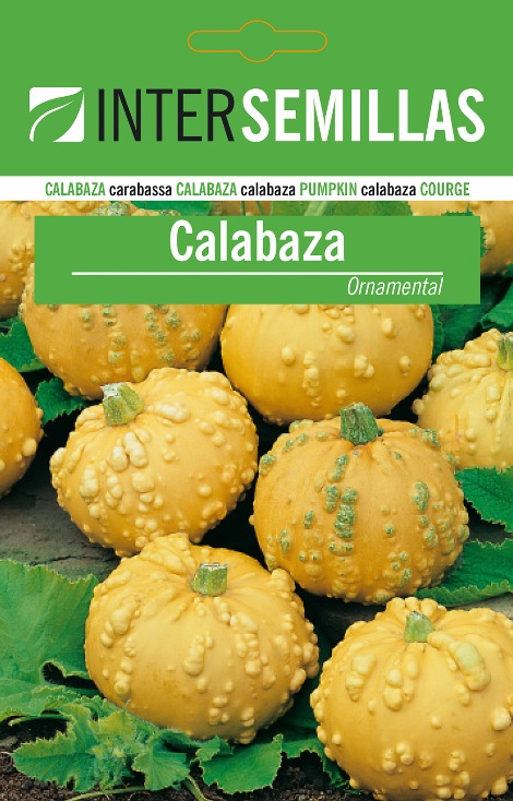CALABAZA ORNAMENTAL - Cucurbita spp.