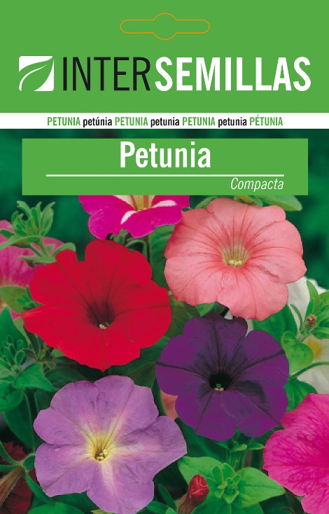 PETUNIA COMPACTA - Petunia multiflora