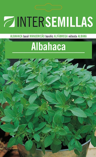 ALBAHACA - Ocimum basilicum