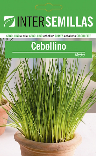 CEBOLLINO MEDIO - Allium schoenoprasum