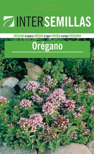 ORÉGANO - Origanum vulgare