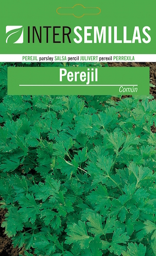 PEREJIL COMÚN - Petroselinum sativum