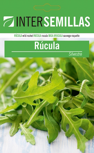 RÚCULA SILVESTRE - Diplotaxis tenuifolia