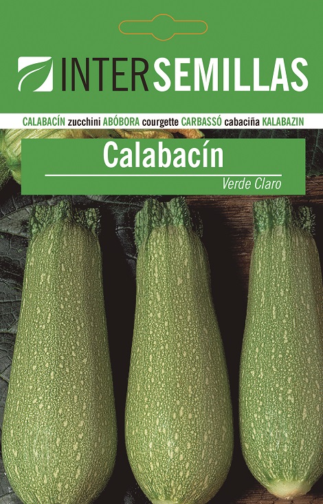 CALABACIN VERDE CLARO