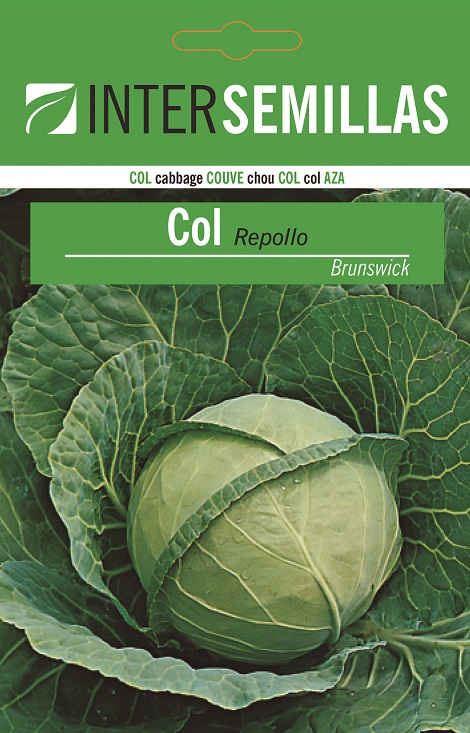 COL REPOLLO BRUNSWICK