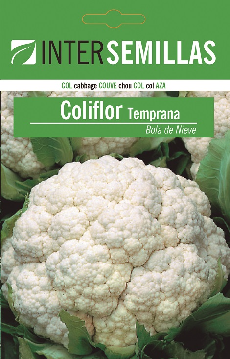 COLIFLOR TEMPRANA BOLA DE NIEVE