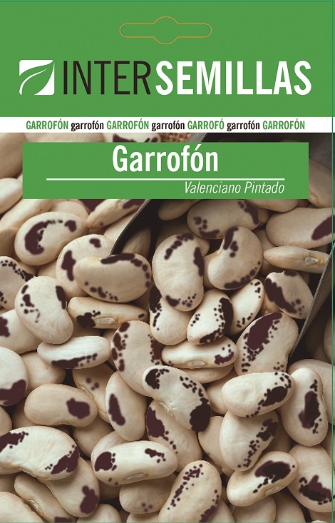 GARROFÓN VALENCIANO PINTADO